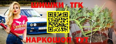 гашик Будённовск