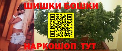 гашик Будённовск
