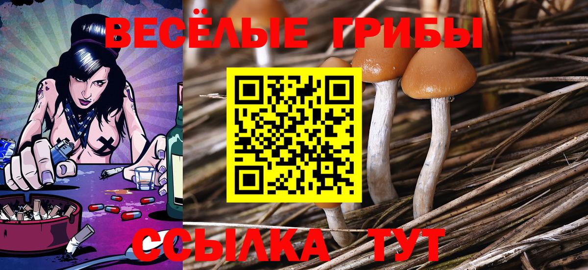 Псилоцибиновые грибы MAGIC MUSHROOMS  Псилоцибиновые грибы мухоморы  Вход с VPN  Фролово 