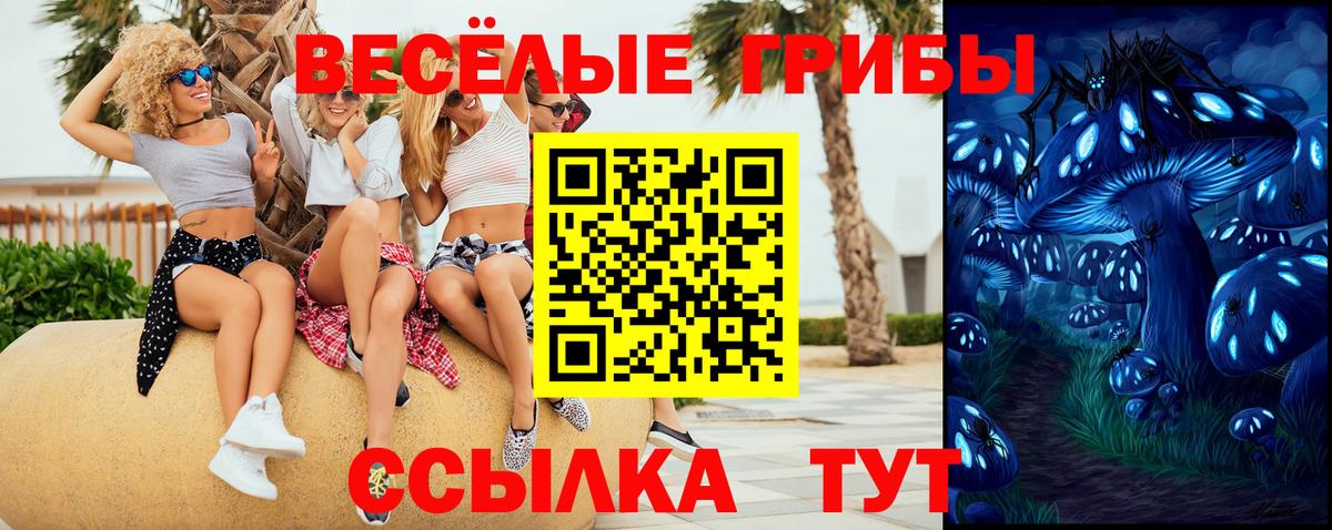 Галлюциногенные грибы Psilocybe Фролово